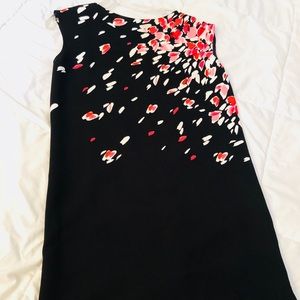 New loft knee length dress
